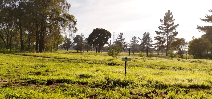 0 Bedroom Property for Sale in Haasendal Western Cape